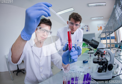 Image of Group of young medical students doing research