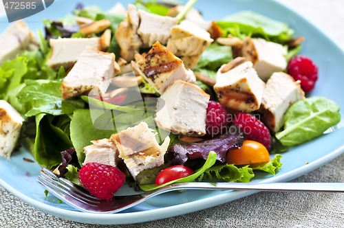 Image of Green salad with grilled chicken