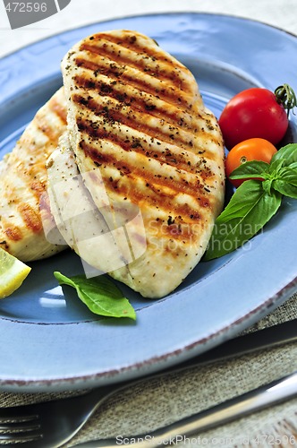 Image of Grilled chicken breasts