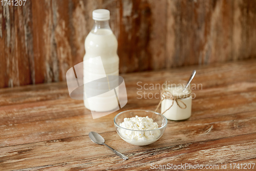 Image of milk, cottage cheese and homemade yogurt