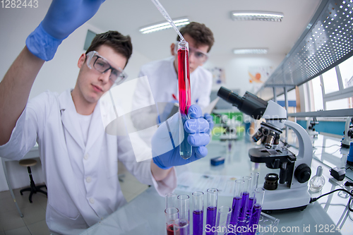 Image of Group of young medical students doing research