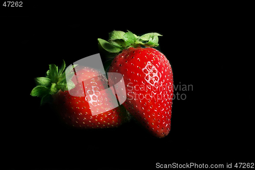 Image of Strawberry Duet