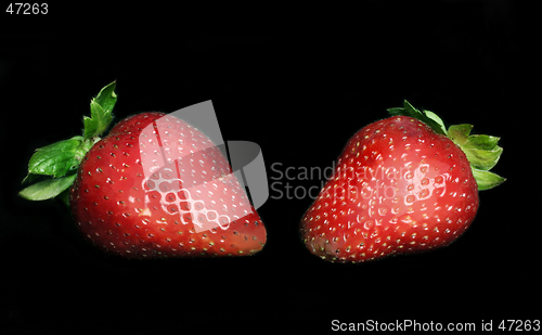 Image of Succulent Strawberries