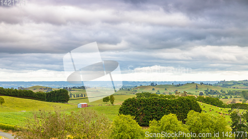 Image of sunset landscape New Zealand north island