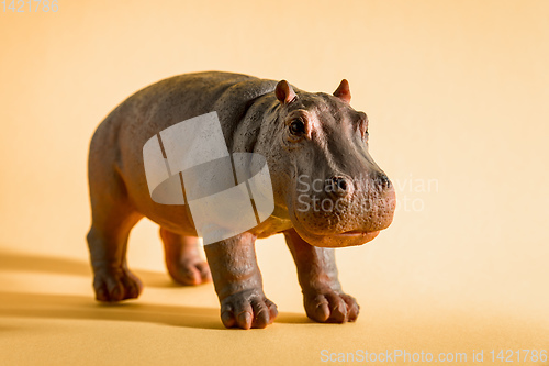 Image of hippopotamus figure isolated on red background