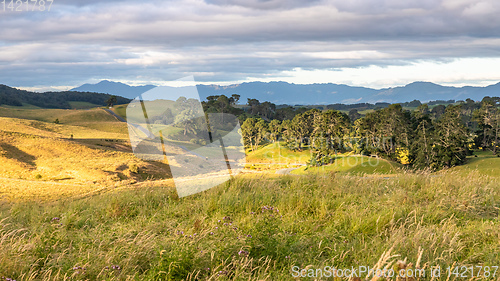 Image of sunset landscape New Zealand north island