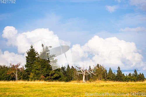 Image of landscape scenery near Freiburg Breisgau south Germany