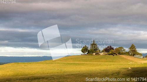 Image of sunset landscape New Zealand north island