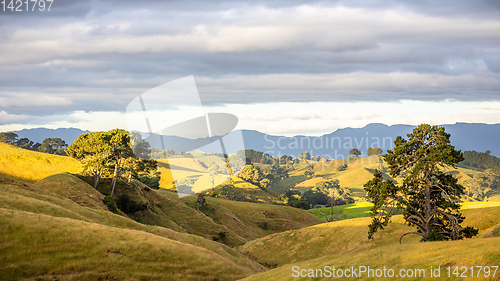 Image of sunset landscape New Zealand north island