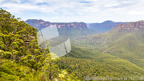 Image of the Blue Mountains Australia panorama