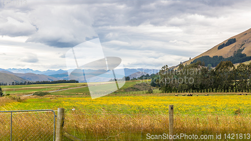 Image of Landscape scenery in south New Zealand