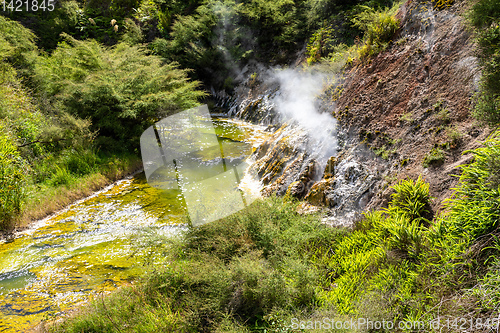 Image of volcanic activities at waimangu