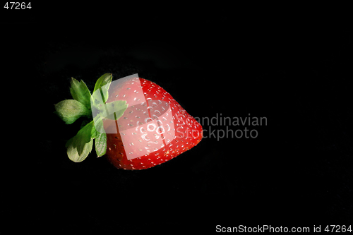 Image of Single Strawberry