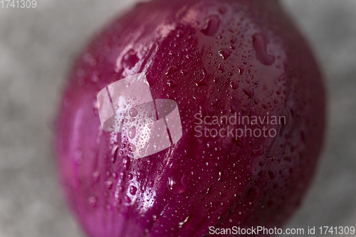 Image of close up of wet red onion