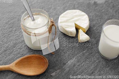 Image of white cheese, homemade yogurt, milk and spoon