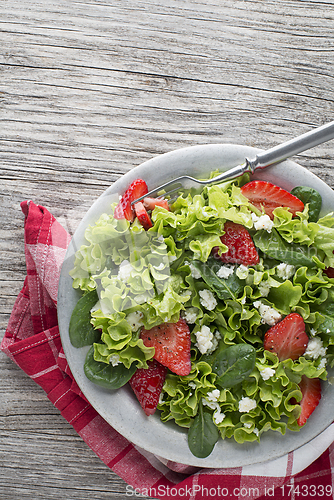 Image of Salad fruit	