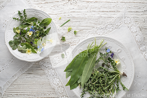 Image of Healthy spring plants food ingredients