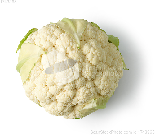 Image of fresh raw cauliflower