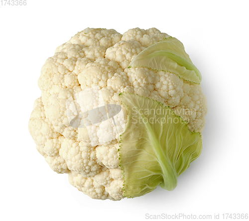 Image of fresh raw cauliflower