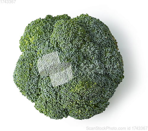 Image of fresh raw broccoli