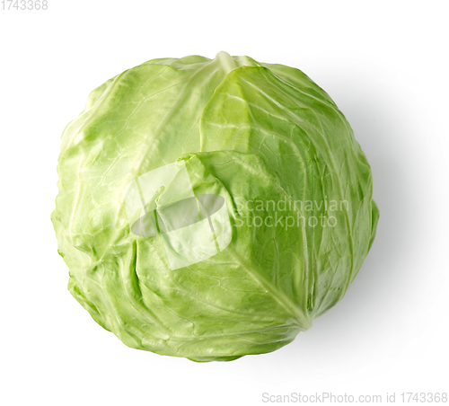 Image of fresh raw cabbage