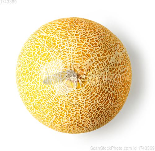 Image of fresh ripe melon