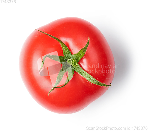 Image of fresh red tomato