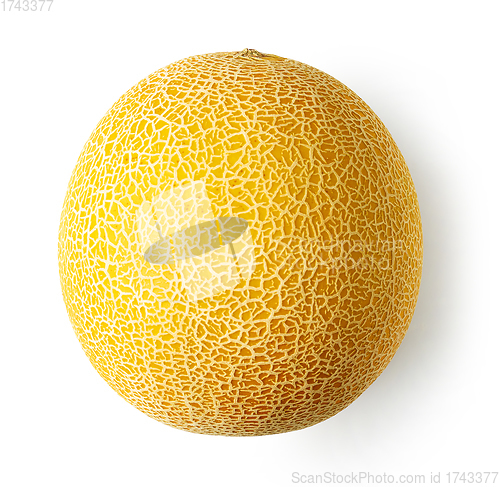 Image of fresh ripe melon