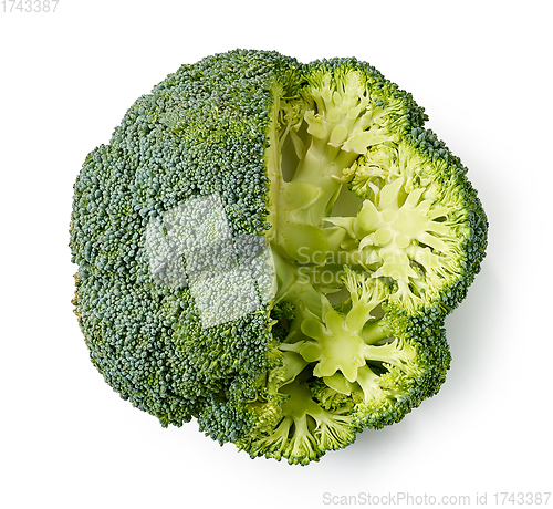 Image of fresh raw brocolli