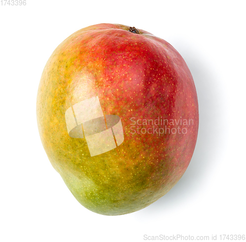 Image of fresh raw colorful mango