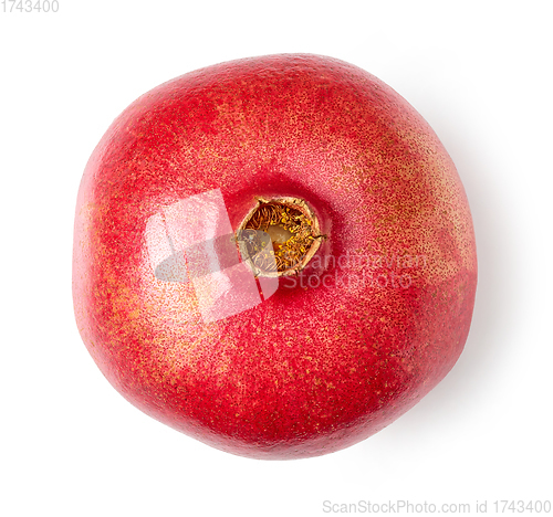 Image of fresh ripe pomegranate fruit