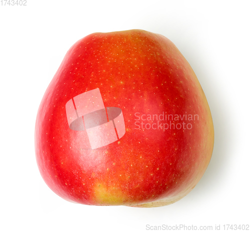 Image of fresh ripe apple