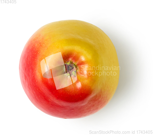 Image of fresh ripe apple