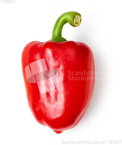 Image of fresh red paprica