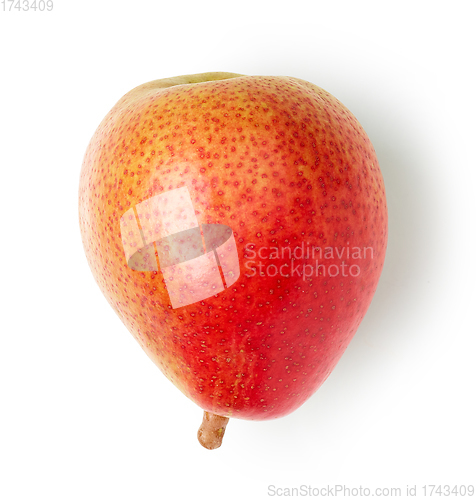 Image of fresh red pear