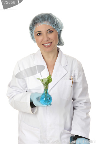 Image of Agronomy agricultural scientist