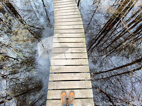 Image of wooden footbridge through the lake nature trail