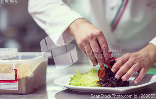 Image of chef serving vegetable salad