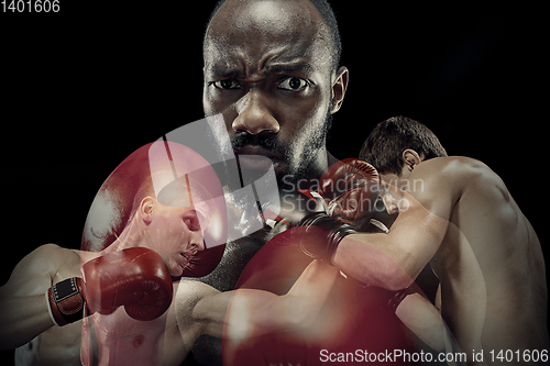 Image of Creative collage of fit male boxers on black studio background