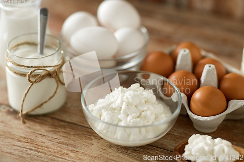 Image of cottage cheese, yogurt, milk and chicken eggs