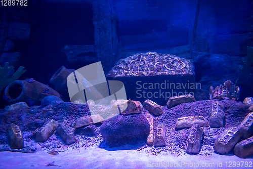 Image of empty aquarium decor