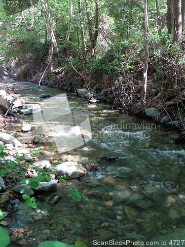 Image of The river. Cyprus