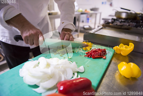 Image of Chef hands cutting fresh and delicious vegetables