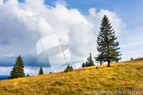 Image of landscape scenery near Freiburg Breisgau south Germany