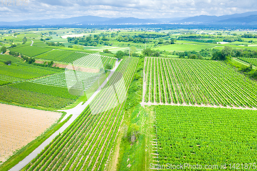 Image of aerial view vineyard scenery at Kaiserstuhl Germany