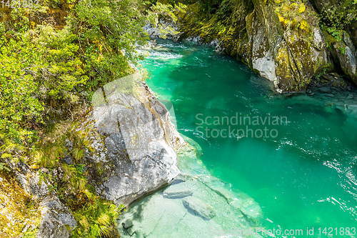 Image of Haast River Landsborough Valley New Zealand