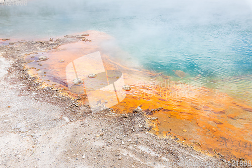 Image of hot sparkling lake in New Zealand