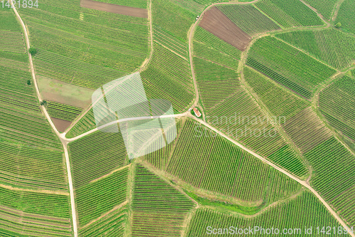 Image of aerial view vineyard scenery at Kaiserstuhl Germany