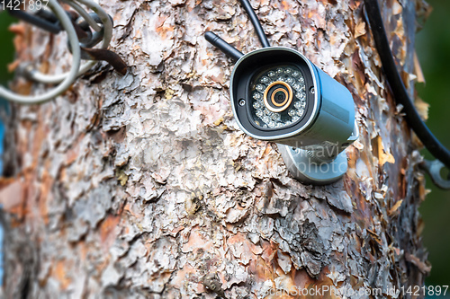 Image of cctv camera at a tree