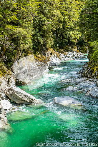 Image of Haast River Landsborough Valley New Zealand